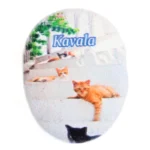 Μαγνητάκι Βότσαλο Ε1 γάτα