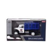 Οχήματα αστυνομίας σε κουτί