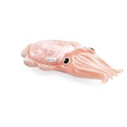 Φουσκωτό καλαμάρι - Image 4